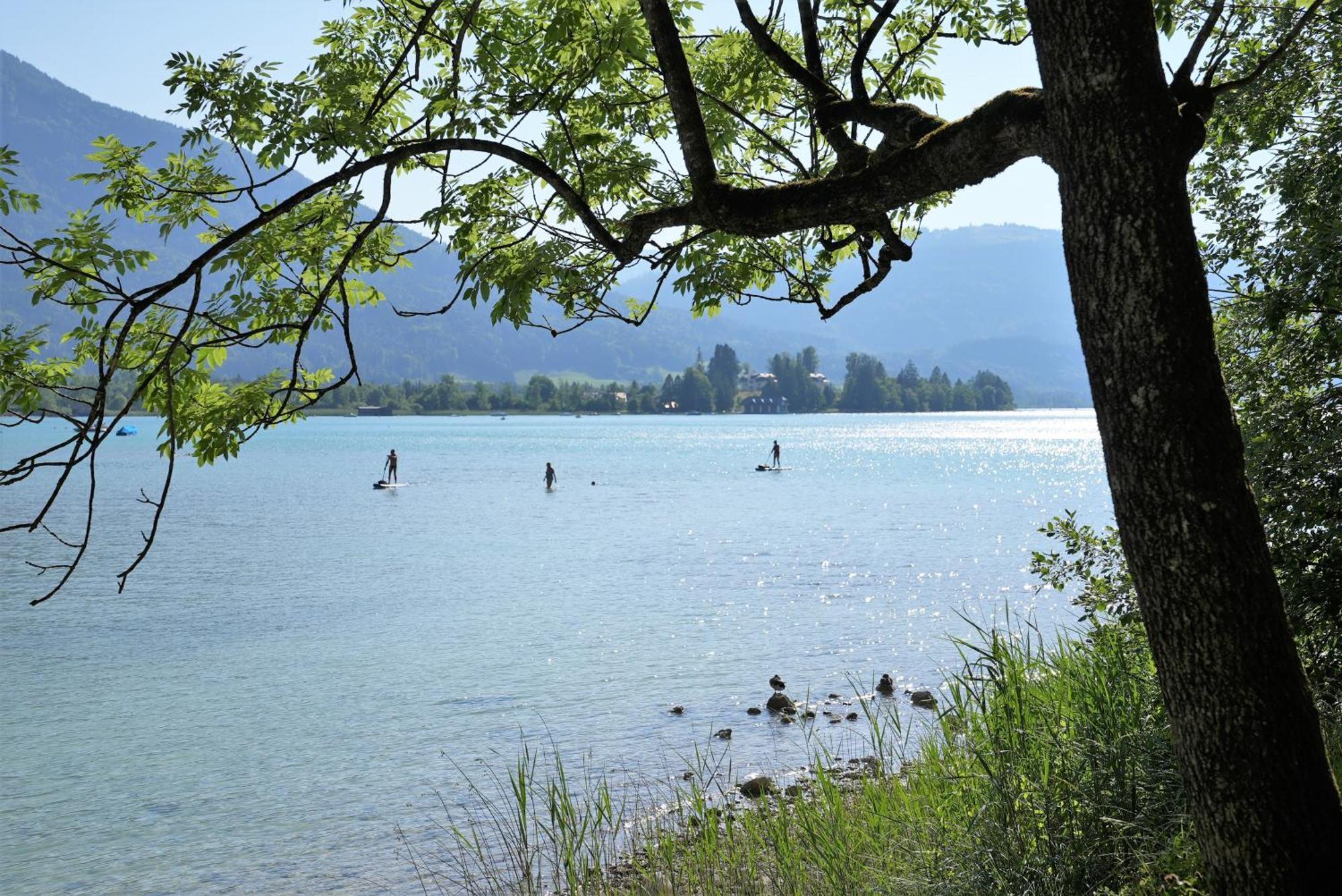 Bergblick 411 Am Wolfgangsee Strobl Pokoj fotografie