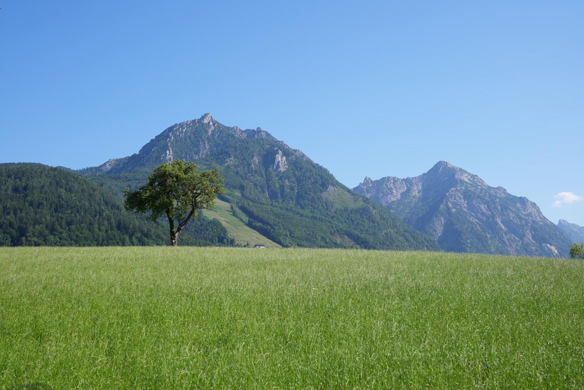 Bergblick 411 Am Wolfgangsee Strobl Pokoj fotografie